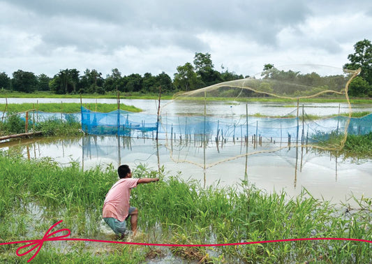 A Fishpond for Greater Resilience