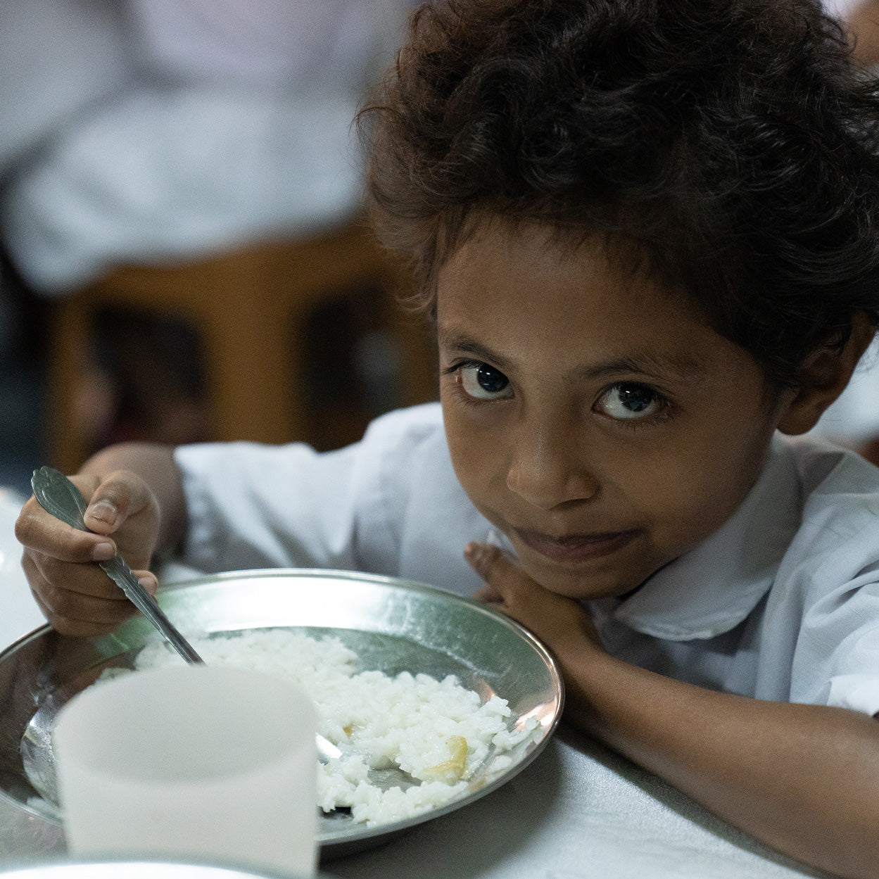 Meals for School Children